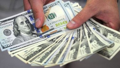 105C9165 51A2 4613 84D8 A3F3988E8384