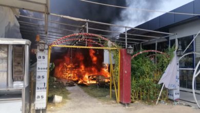 122272020 4310f3b6 4829 4d2f 8d09 fd5053074926