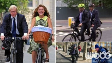 1D52160A 2487 47DC AF6E 57DE8DD3B504