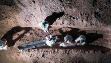 22E4B1A1 8A60 4BE2 84E9 B69DB2C9B3ED