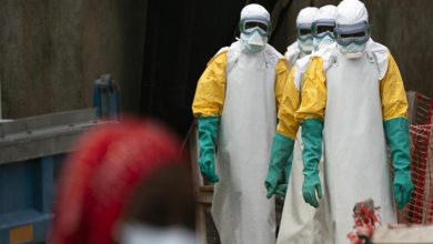 238F3B38 D268 47B5 820F 611DF4ED9E2A