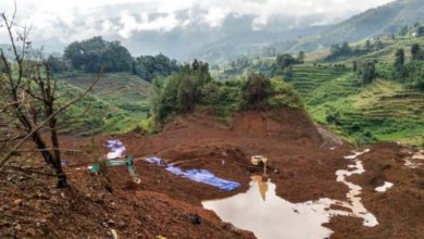 2BCD8330 ADF2 41DB BCF6 3C6F1B58B5A0