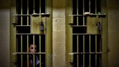 2CDC94F3 BC1B 421A A563 AA39305AB8B1