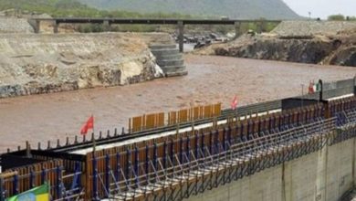 3296A692 4DC8 4A57 9919 63AAF3035099