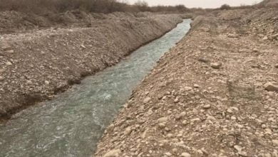 47C47D2D 1881 40F0 AACE DD45E110EF23