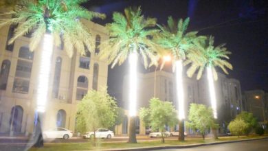 48705701 36A8 4086 9B7A 256DF7116FB5