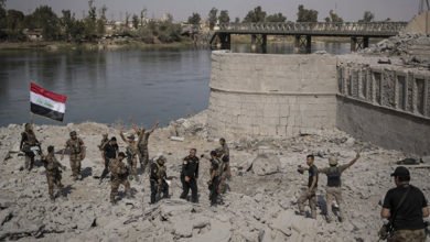 52272020 596ff6b0b518d