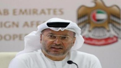 قرقاش: عالمنا العربي لا يمكن أن يكون مشاعا للتدخل الإقليمي دون عقاب 2 54029C6E 969C 48D9 83EF A0FDD11381CA