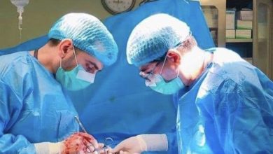 554A4727 EED2 4D31 9943 6B769D1D7846