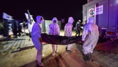 5661C2E5 BF0B 47C8 9E15 B5BDC69DE230