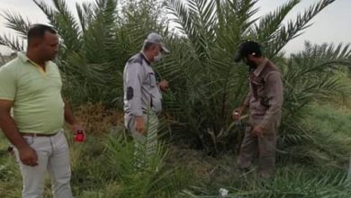 5BEEB7C3 6196 4BD1 BE47 FE0ABF05796B