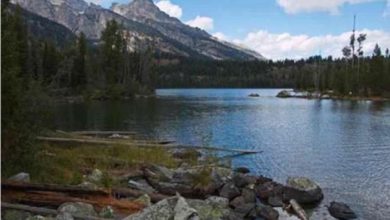 5F8FC1E9 8200 4CE8 BFA7 1A57DED2EBE6