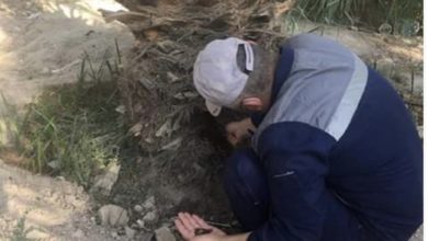 5FE45816 95E7 4E82 9FDF E9BDF685ED6A