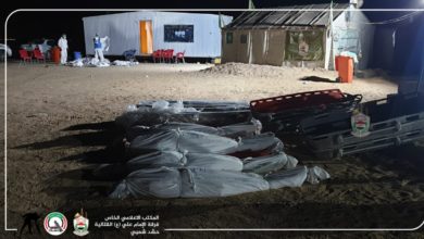 64F730D0 9A4E 46D6 BD5A 78D03DB347B8