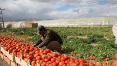 6945F8B9 DB7E 4E63 8EC0 C4C63AC40500