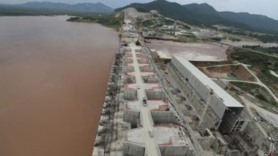 6E74BEBC 51CD 4C47 9469 7823DF1FE289