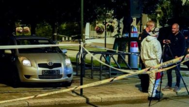 73DD9135 7CE0 44D1 B8FD B623D9D12474