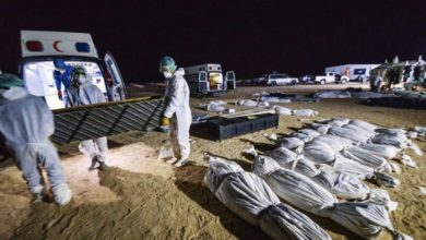 7444D535 6094 4371 99FB 7FBABC3EF475