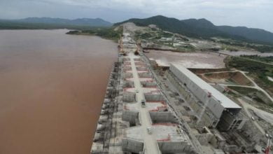 7F63EC8D C782 4169 A6D4 22CC489A0F86