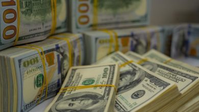 81FB60F4 7CF4 49C3 80F3 BBEB31B5027F