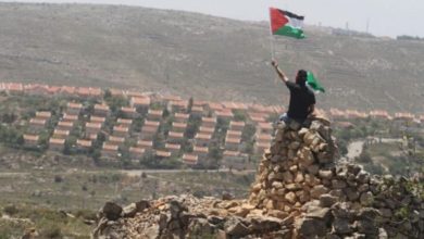 86A06C65 9D37 4B6F 8E25 789F29A09878