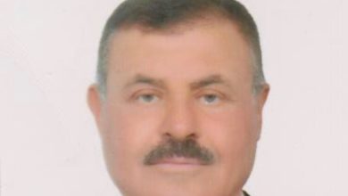 8E169653 3D6E 4D28 8FC0 1FDF3A1F8D2A