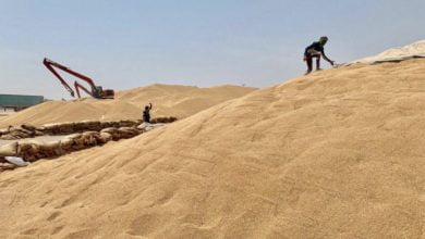 9524AE2A 7434 4D7E B776 BF2C777CABC0