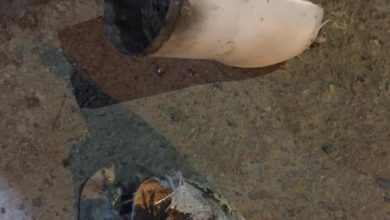 97122019 c0dd6f70 c991 4bd5 8a95 19fb17ee4d9c