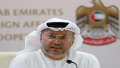 9916B091 496B 4A54 B81F 3509AA519470