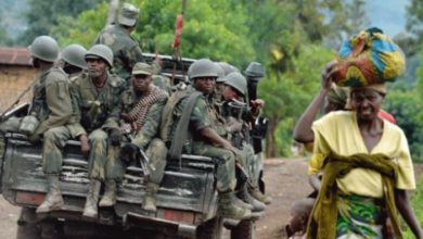 9B42D955 FD33 4C96 912F DC6AE6811291