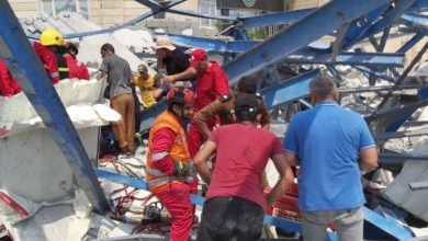 A79E8F33 9970 41B1 B475 4A6384136BE0