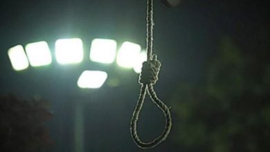 BD8DF24A 9626 45B5 BD30 EBD12FFA80EF