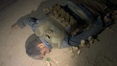 BED6A86B 943D 4C7A 8112 7DE1E28AADA3