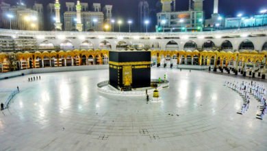 C237DD82 E0D7 45F8 BDB2 07CC9D9621B5