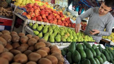 C7C9DCD2 B2A5 48D7 BB7C E838DE84912B