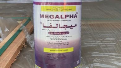 CDBAB5C3 2D8C 40D9 A231 B0369780D4DC