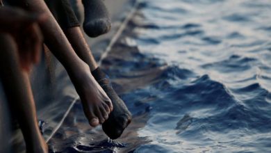 D0693176 9E5F 4BDC 9C5A 0C4EFD3537F3