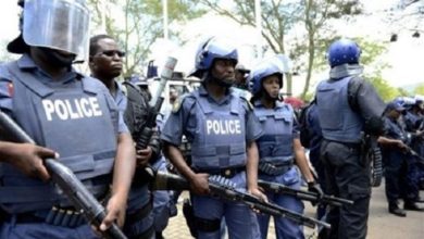 D50960CC 2337 44E6 9111 81F53F10BE76