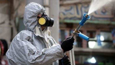 D61A6B7B A853 4EDA 8D5D 8212F647CCF3