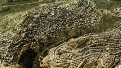 D79ABA21 5AFA 4E24 8740 9076FECB93F3