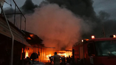 D8400EE7 D789 4EE1 B66D 58686BF86DBC