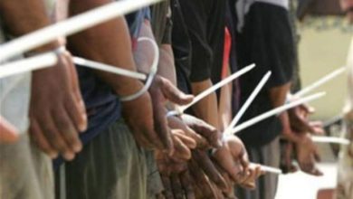 D8529C6F 3D37 4B19 A030 4DCD5860B614