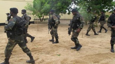 D942B6D5 161D 46E3 8797 F4B5BDCD26CC