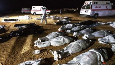 DCACD948 D68A 41AF AF06 FFECD03DDB24