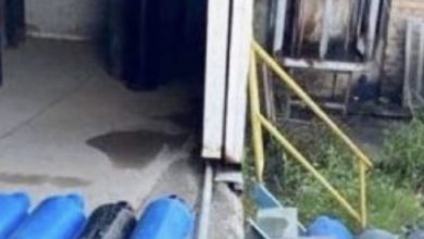 DD9581DE C14D 4618 969C 4AB771D35157