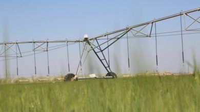 DFA4CC99 D880 4A1B 952B E1372A69519E