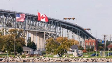 E15D60C3 FB81 43F0 BB77 E101817CF3A3