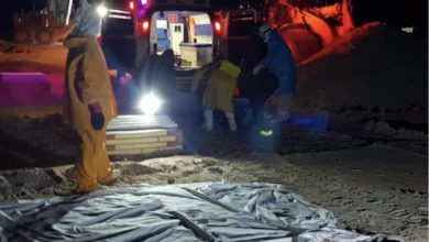 E3D90203 499C 4D16 811C 97A0F7AAA493