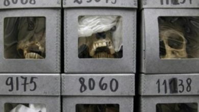 الجزائر تسترجع الجماجم وتنهي أزمة الذاكرة مع فرنسا 2 E9D892B2 2180 4714 9329 D6ED3F955F00