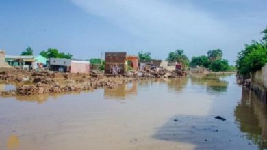 F3FC13EF 7384 4A06 BF15 7FAB88F6790D